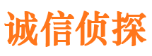 冕宁调查取证